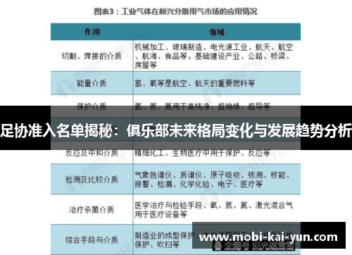 足协准入名单揭秘：俱乐部未来格局变化与发展趋势分析